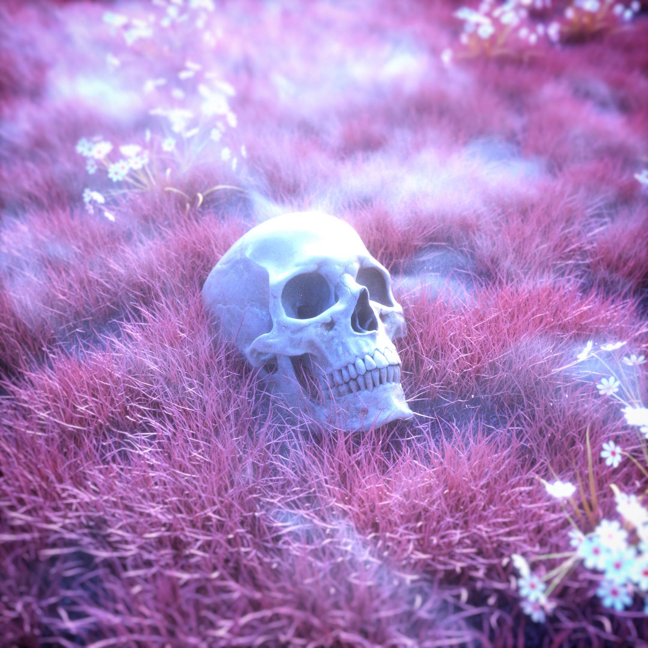 skeleton, pink skull, vibrant purple grass, Full HD Desktop Wallpaper