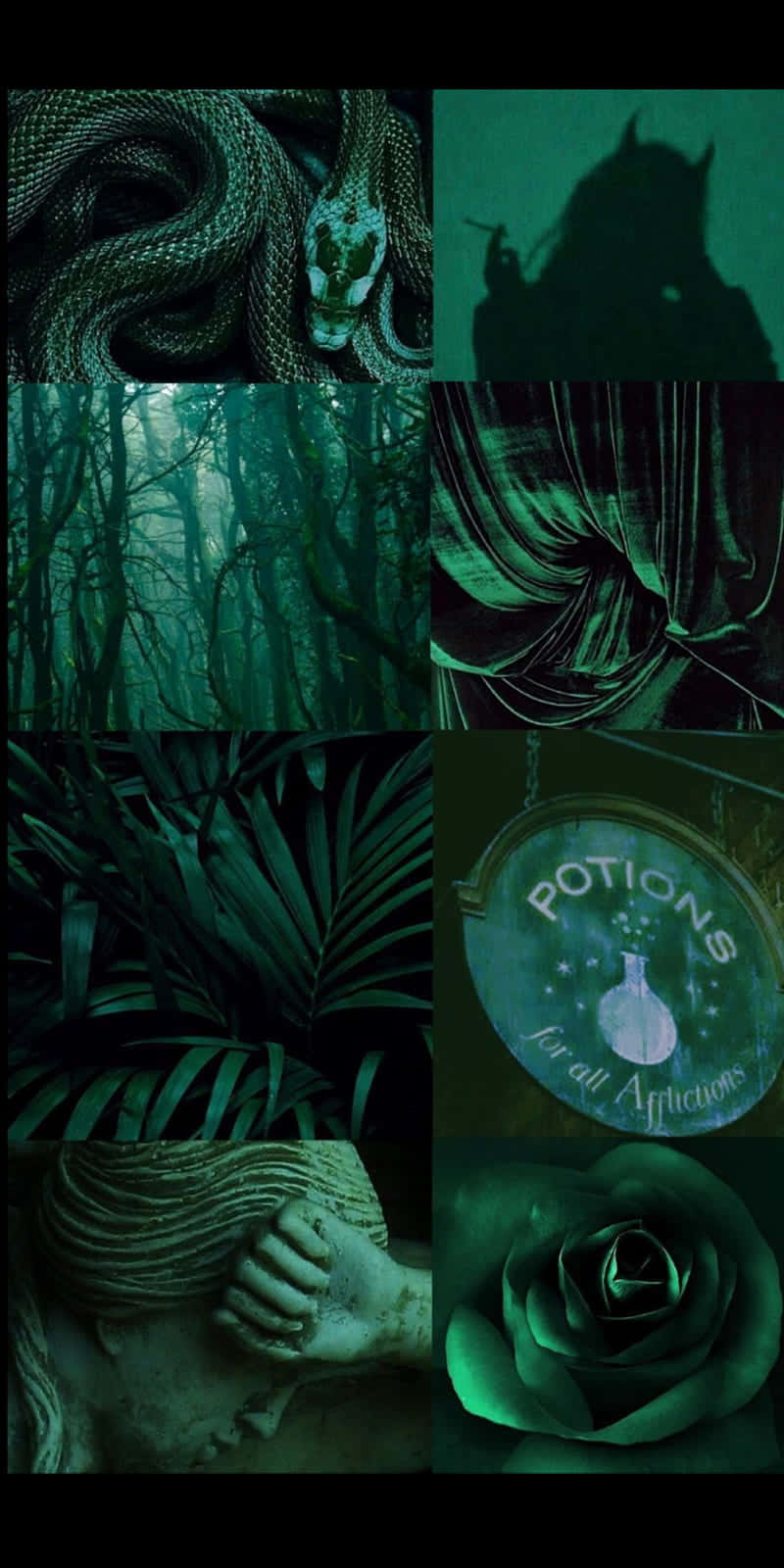 Cute Slytherin, dark green, coiled snake, HD Phone Wallpaper
