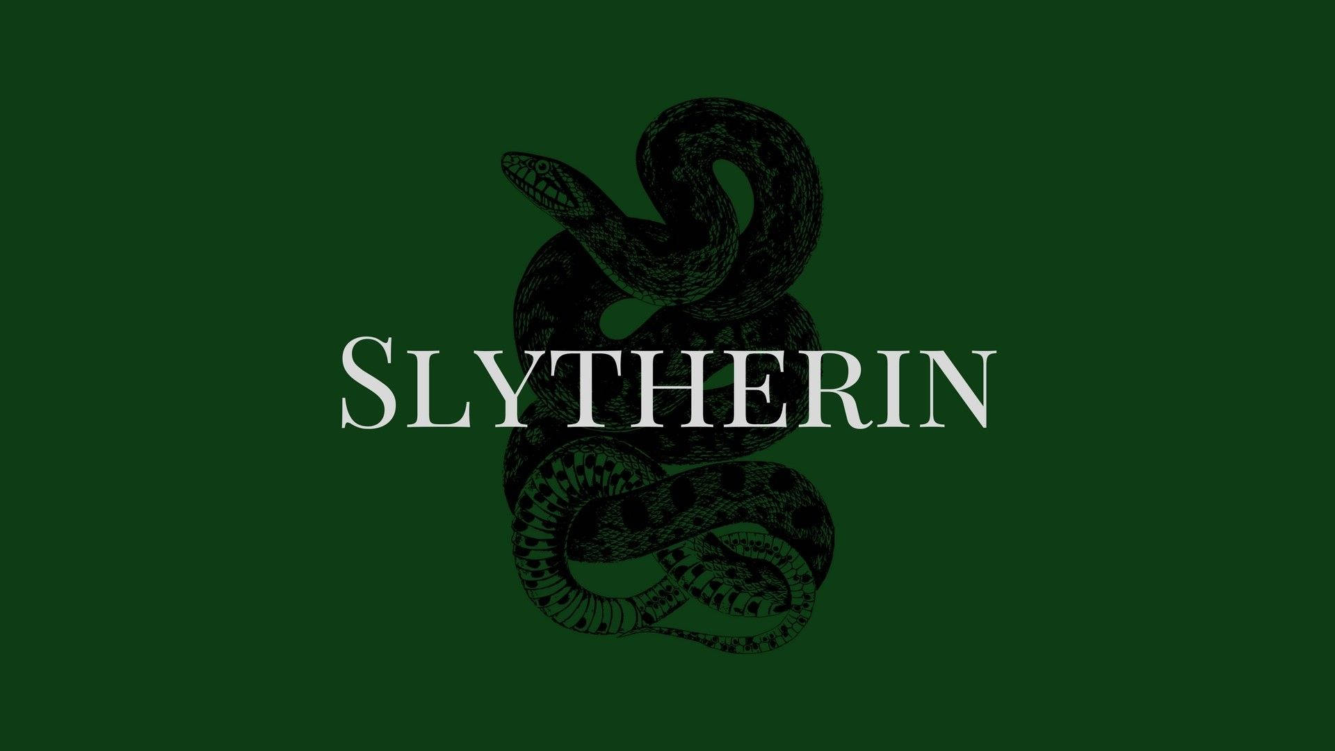Slytherin, black coiled snake, white serif font, Full HD Desktop Wallpaper