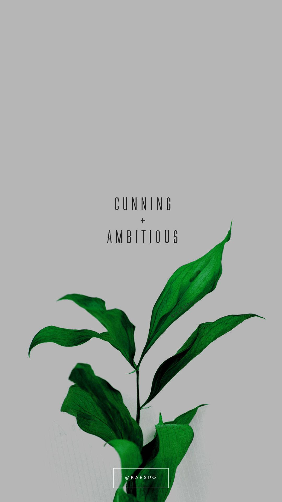 Slytherin, cunning, ambitious, Full HD Phone Wallpaper