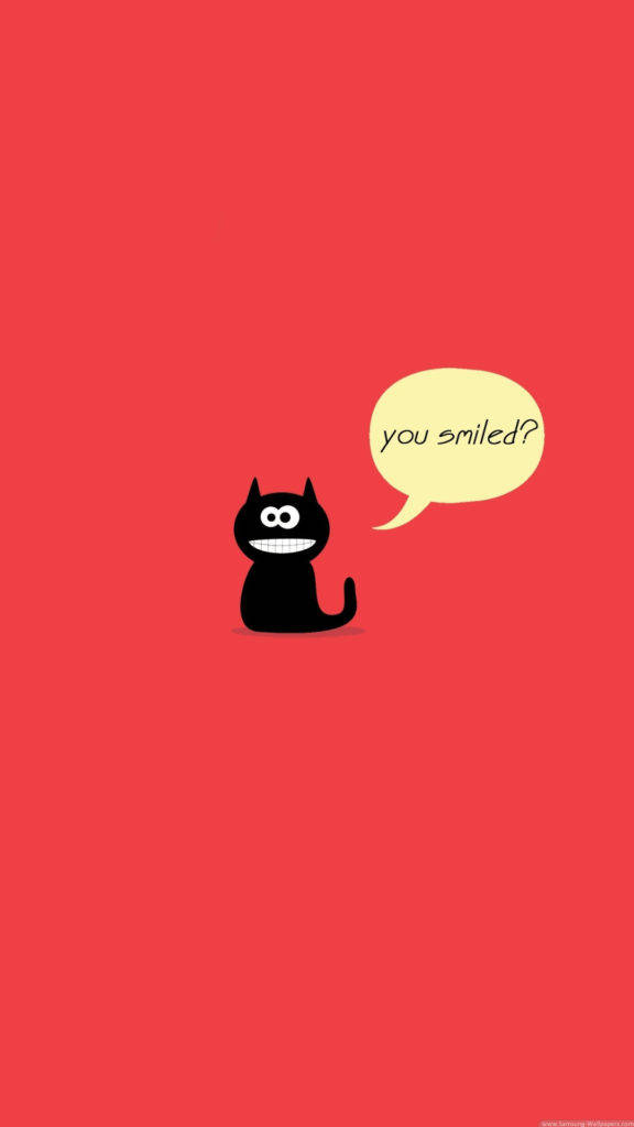 tiny black cat, cute smile, wide grin, SD Phone Wallpaper