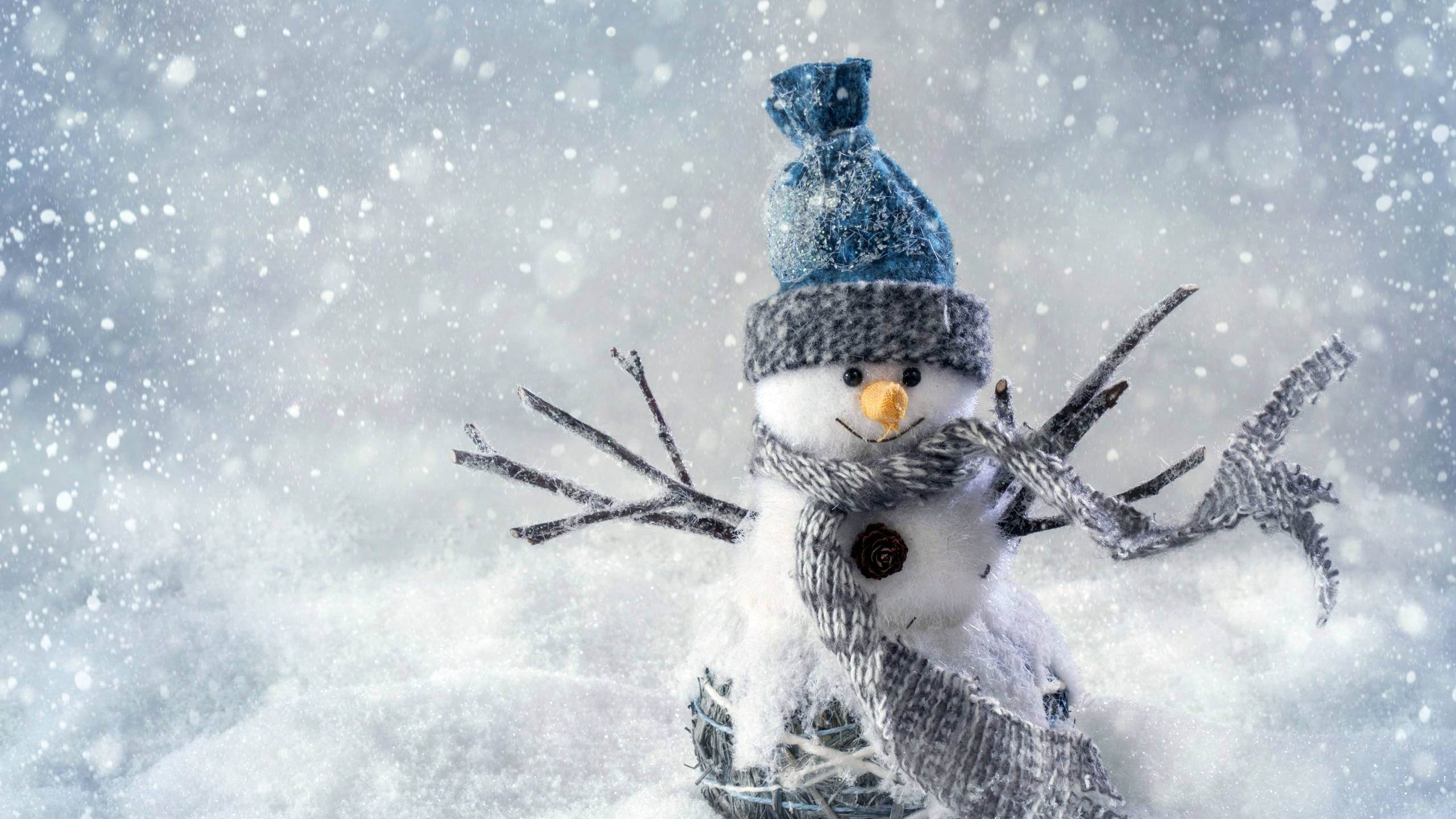 cute snowman, blue knit hat, scarf, 2K Desktop Wallpaper