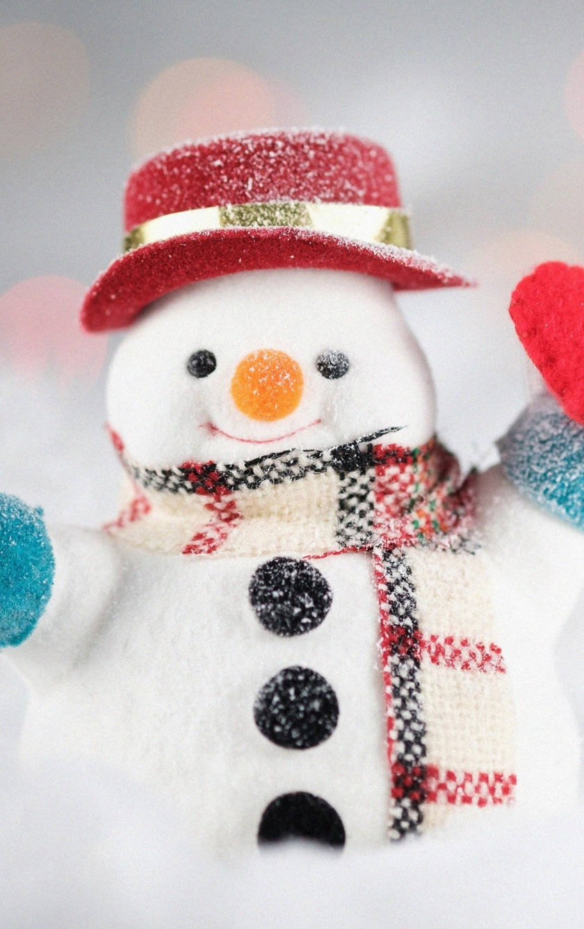 Chubby And Cute Snow Man, red glitter hat, plaid scarf, HD Phone Wallpaper