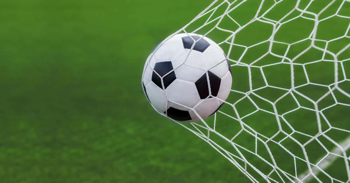 cute soccer, black and white soccer ball, white net, SD Desktop Wallpaper