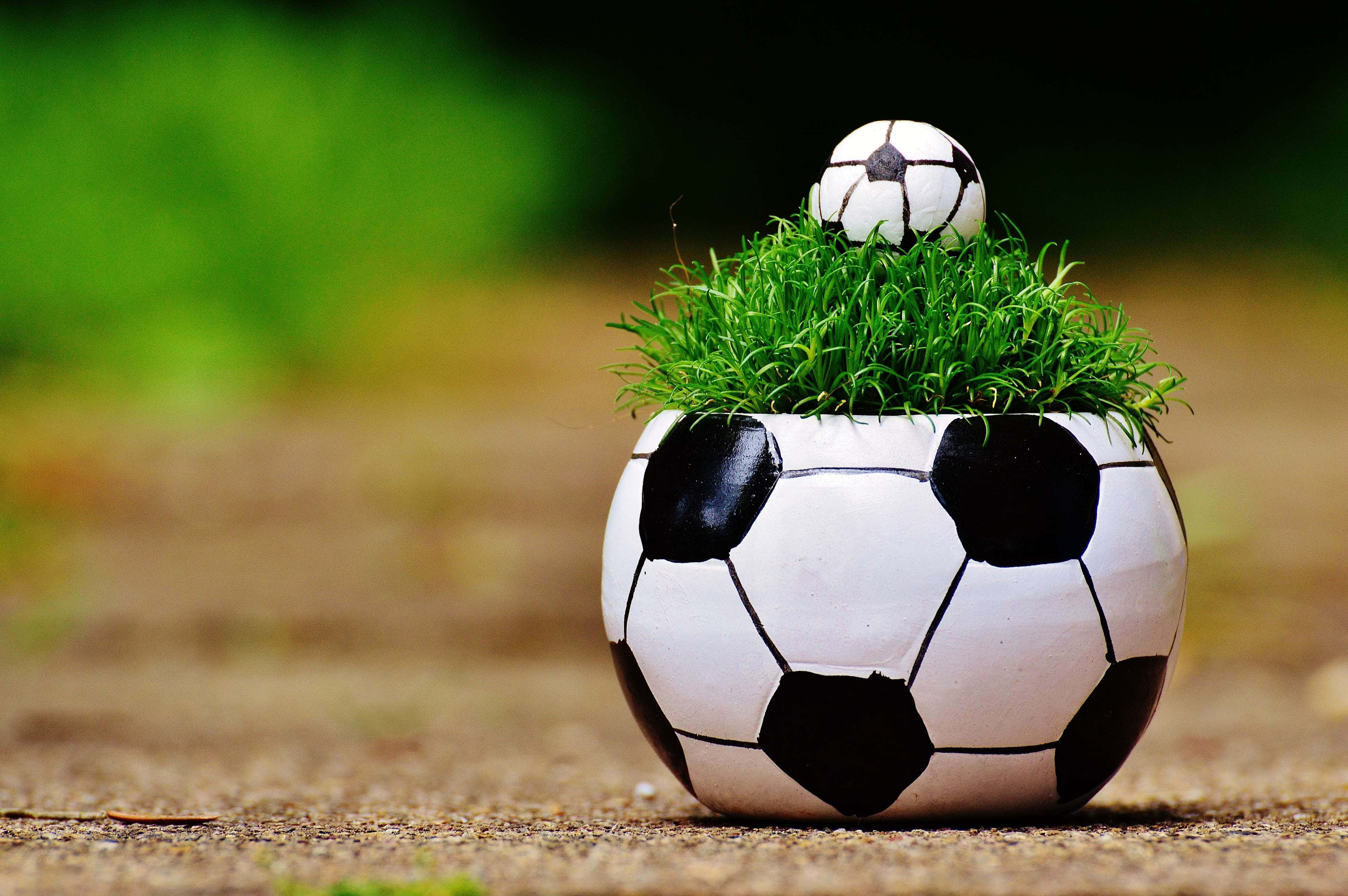 cute soccer, soccer ball planter, vibrant green grass, 4K Desktop Wallpaper