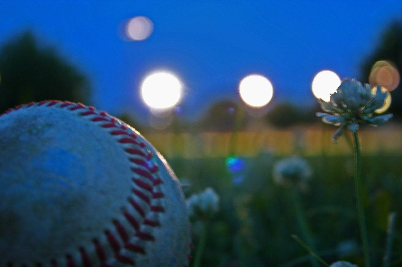 Cute Softball, flower, grass, HD Desktop Wallpaper