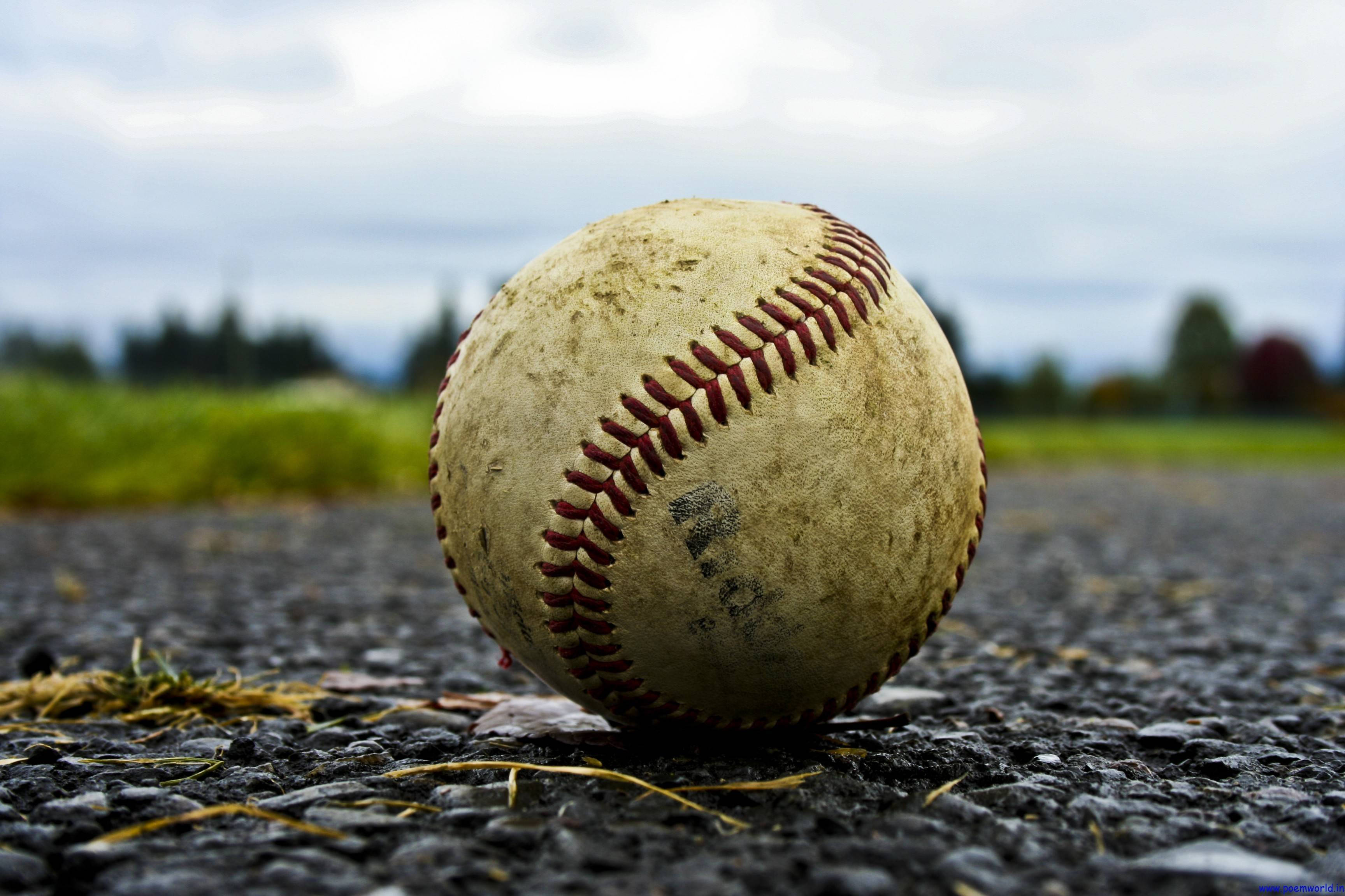 cute softball, red stitching, wet gravel path, 2K Desktop Wallpaper