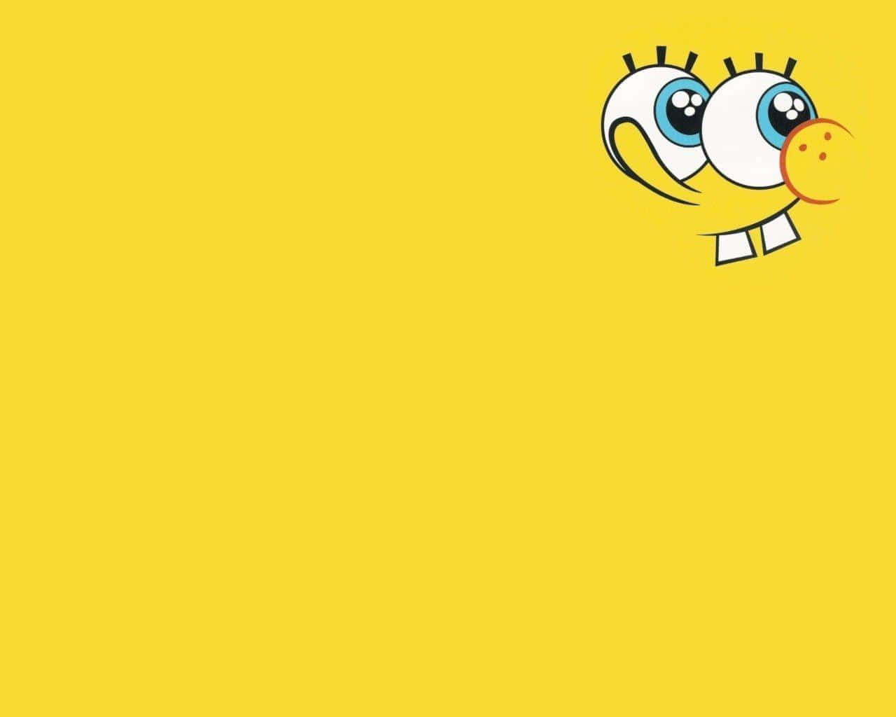 SpongeBob, big blue eyes, smile, HD Desktop Wallpaper