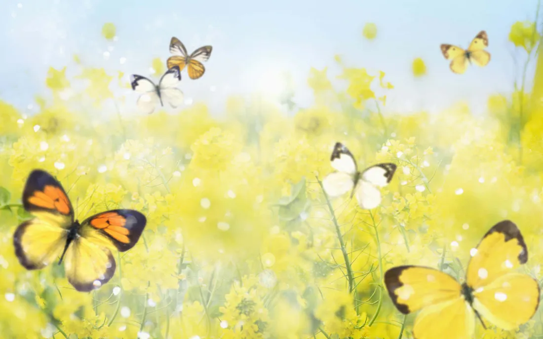Cute Spring Desktop