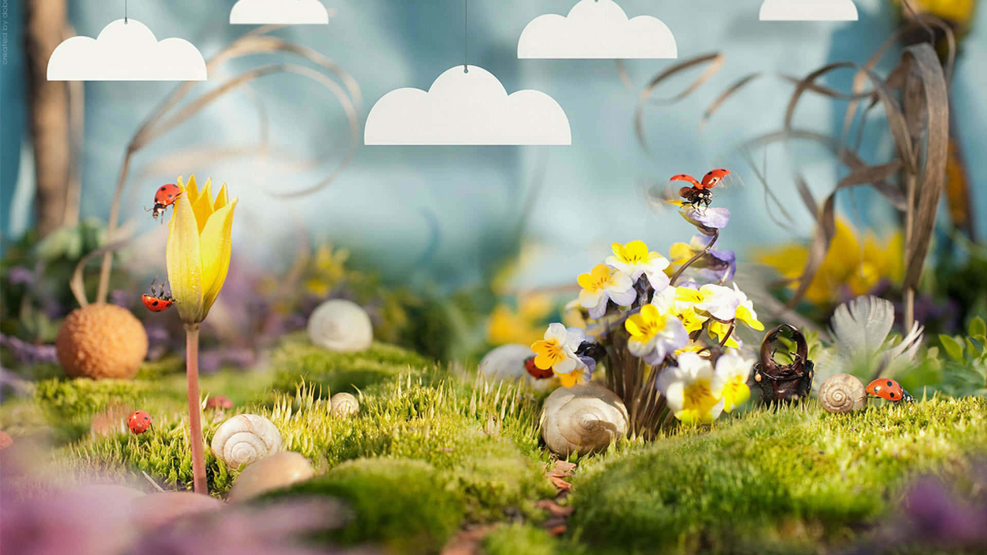 Cute Spring Desktop, ladybugs, yellow flowers, Full HD Desktop Wallpaper