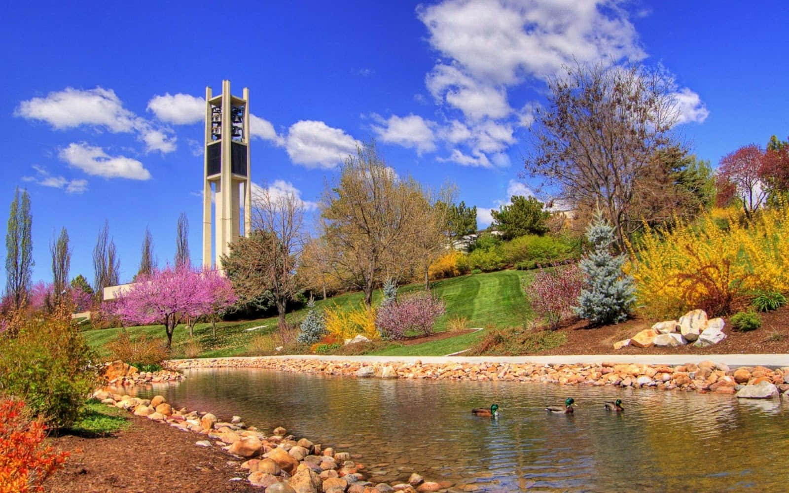 bell tower, colorful spring blooms, pond, HD Desktop Wallpaper