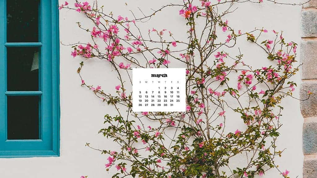 March calendar, white wall, blooming pink flowers, SD Desktop Wallpaper