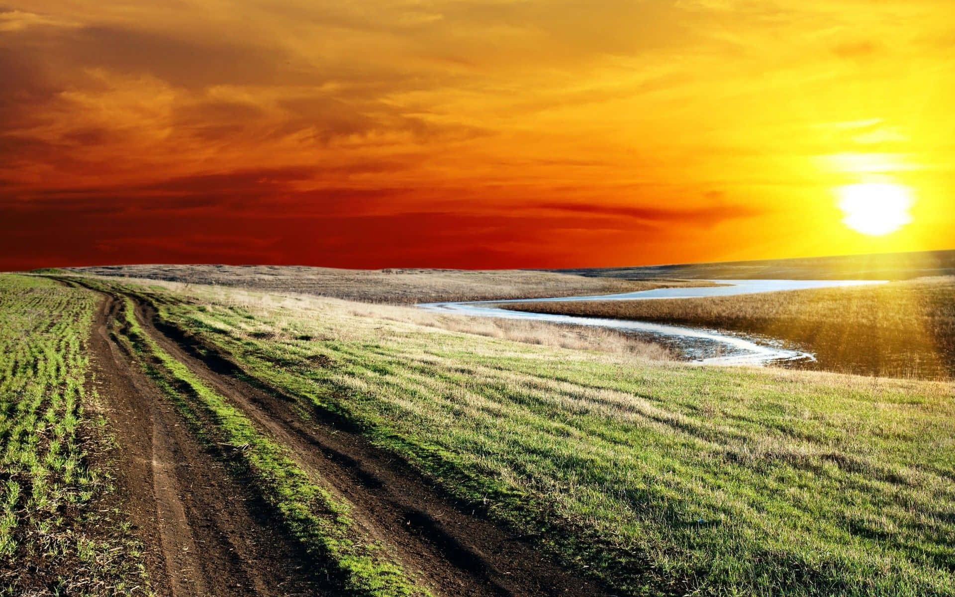spring sunshine, 1920 x 1200 wallpaper, vibrant green fields, Full HD Desktop Wallpaper