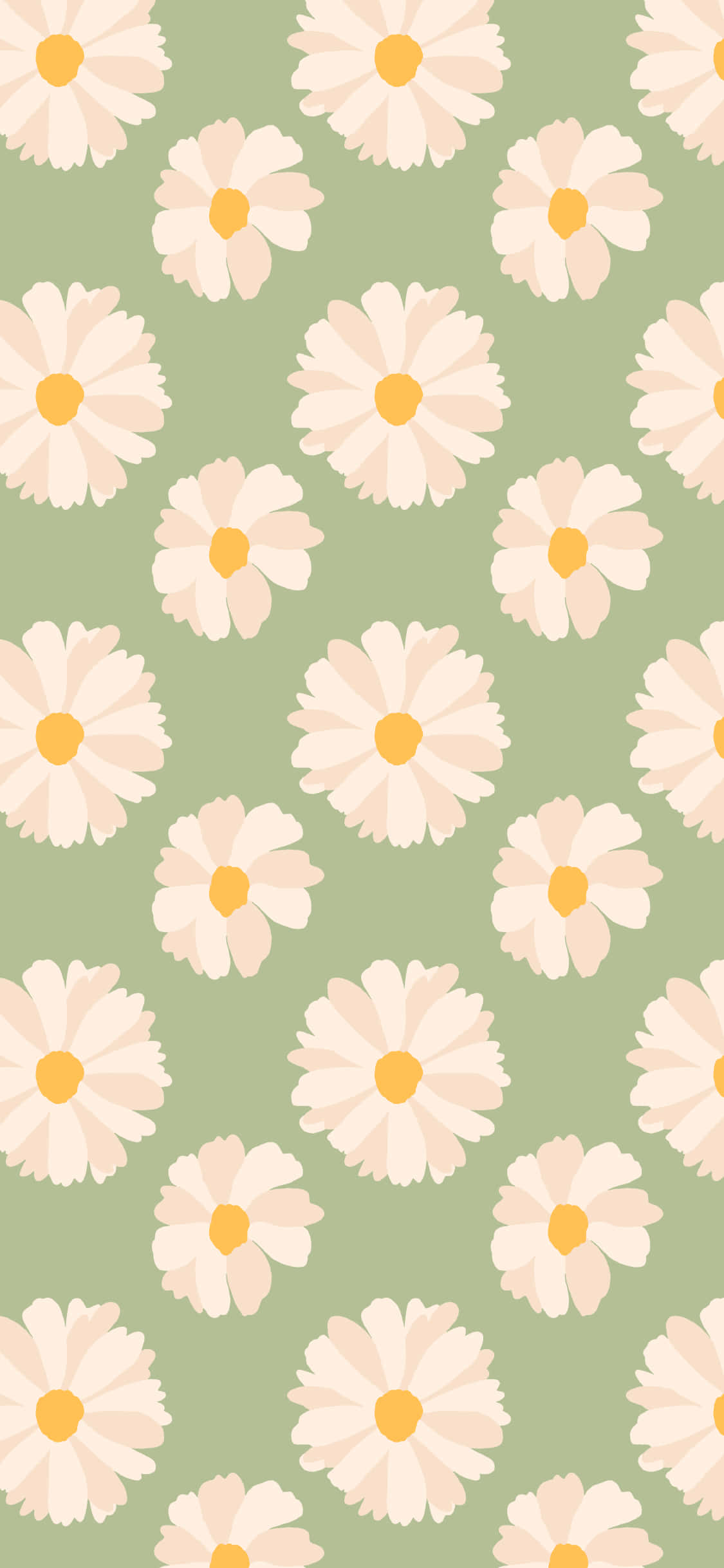 Cute Spring Daisies iPhone, stylized daisies, cream petals, Full HD Phone Wallpaper