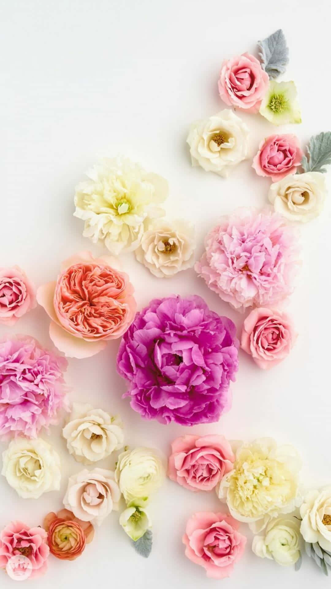 Cute Spring iPhone, pastel floral arrangement, pink peach, Full HD Phone Wallpaper