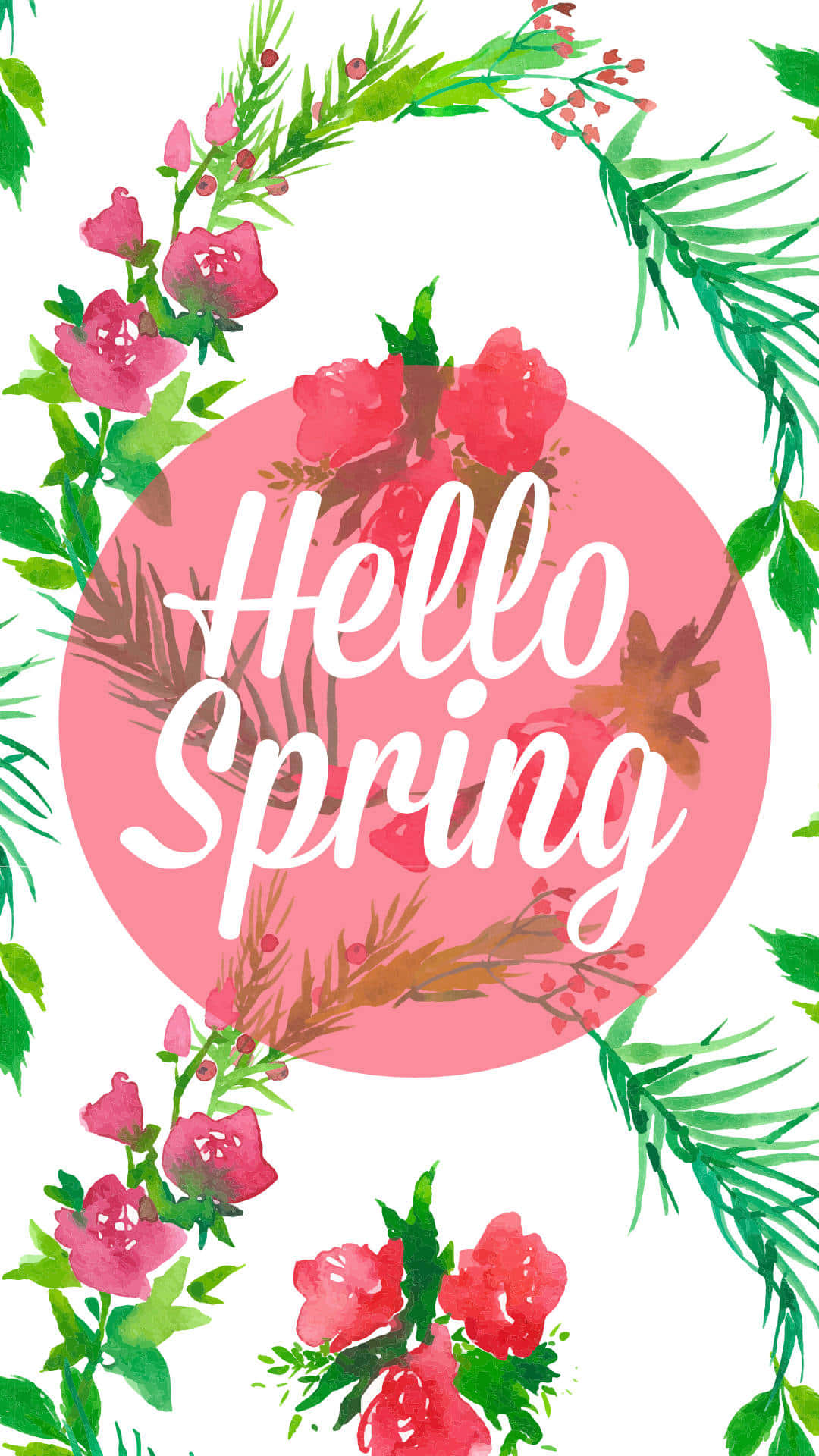 Hello Spring, pink roses, green leaves, Full HD Phone Wallpaper