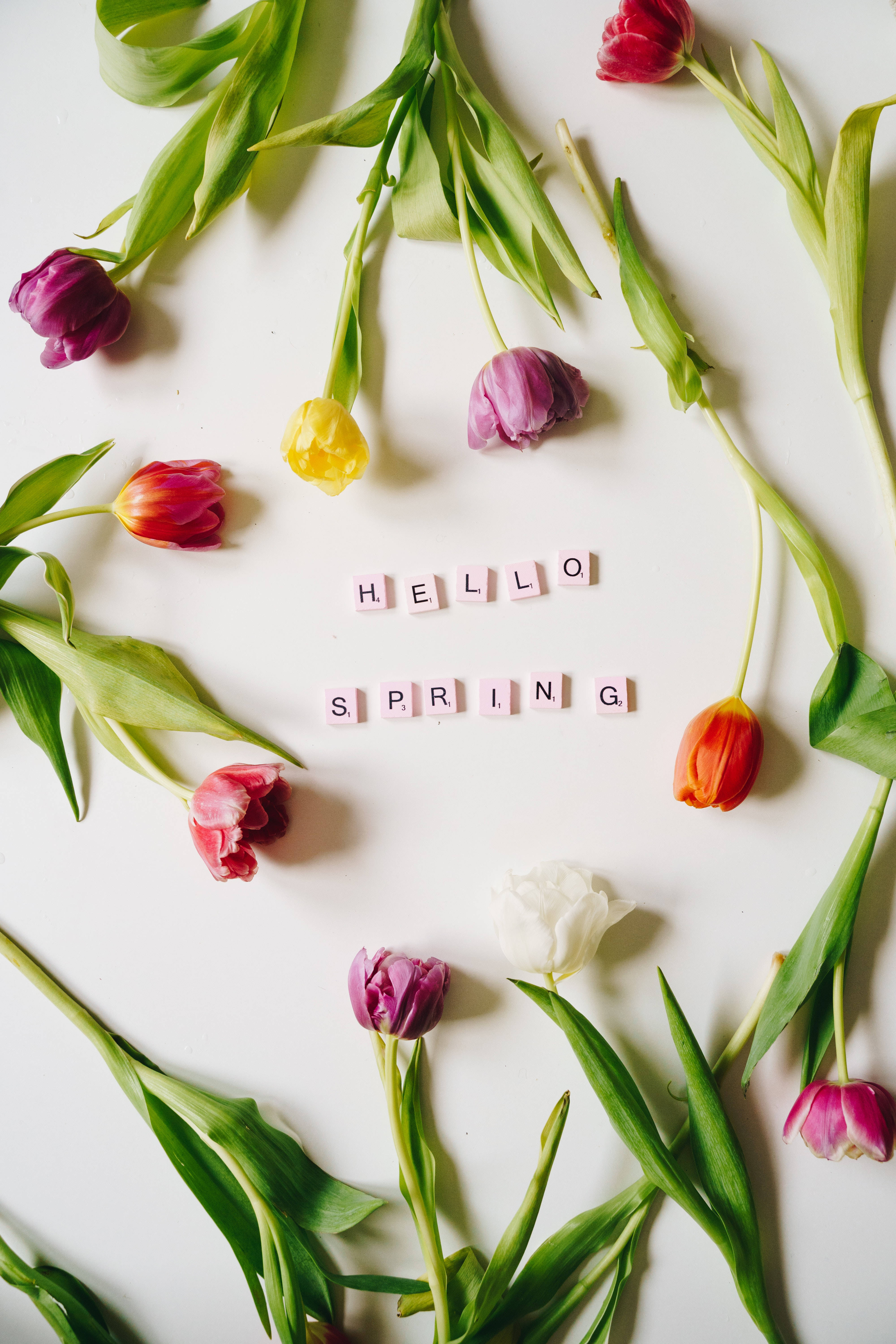 iPhone 4K, hello spring, pink letter tiles, 5K Phone Wallpaper