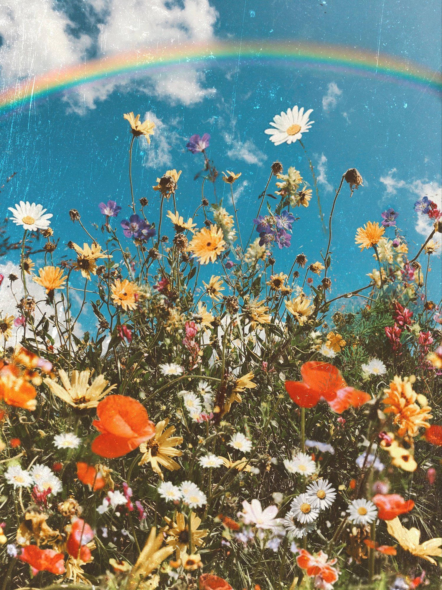 Aesthetic Spring, iPhone Lock Screen, vibrant field of wildflowers, Full HD Phone Wallpaper