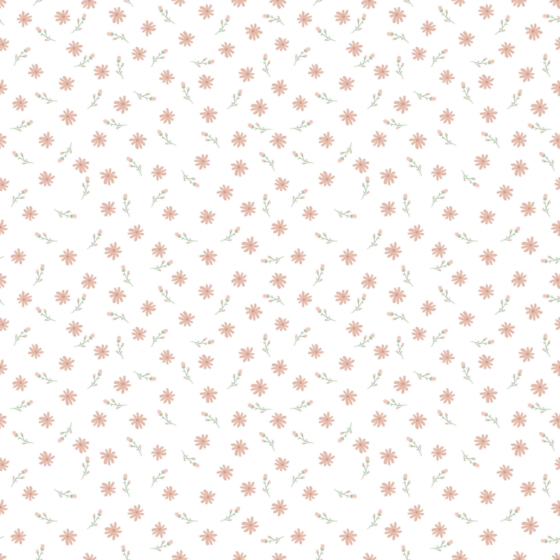 peach flowers, green stems, white background, Full HD Desktop Wallpaper