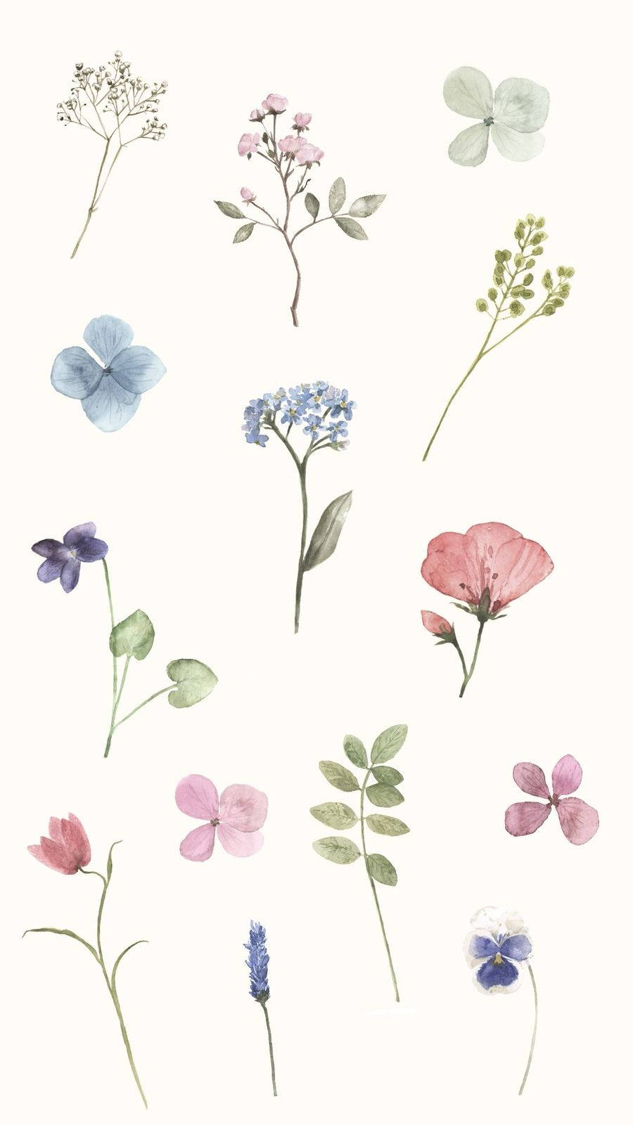 wildflowers, soft pastel hues, pale cream background, HD Phone Wallpaper