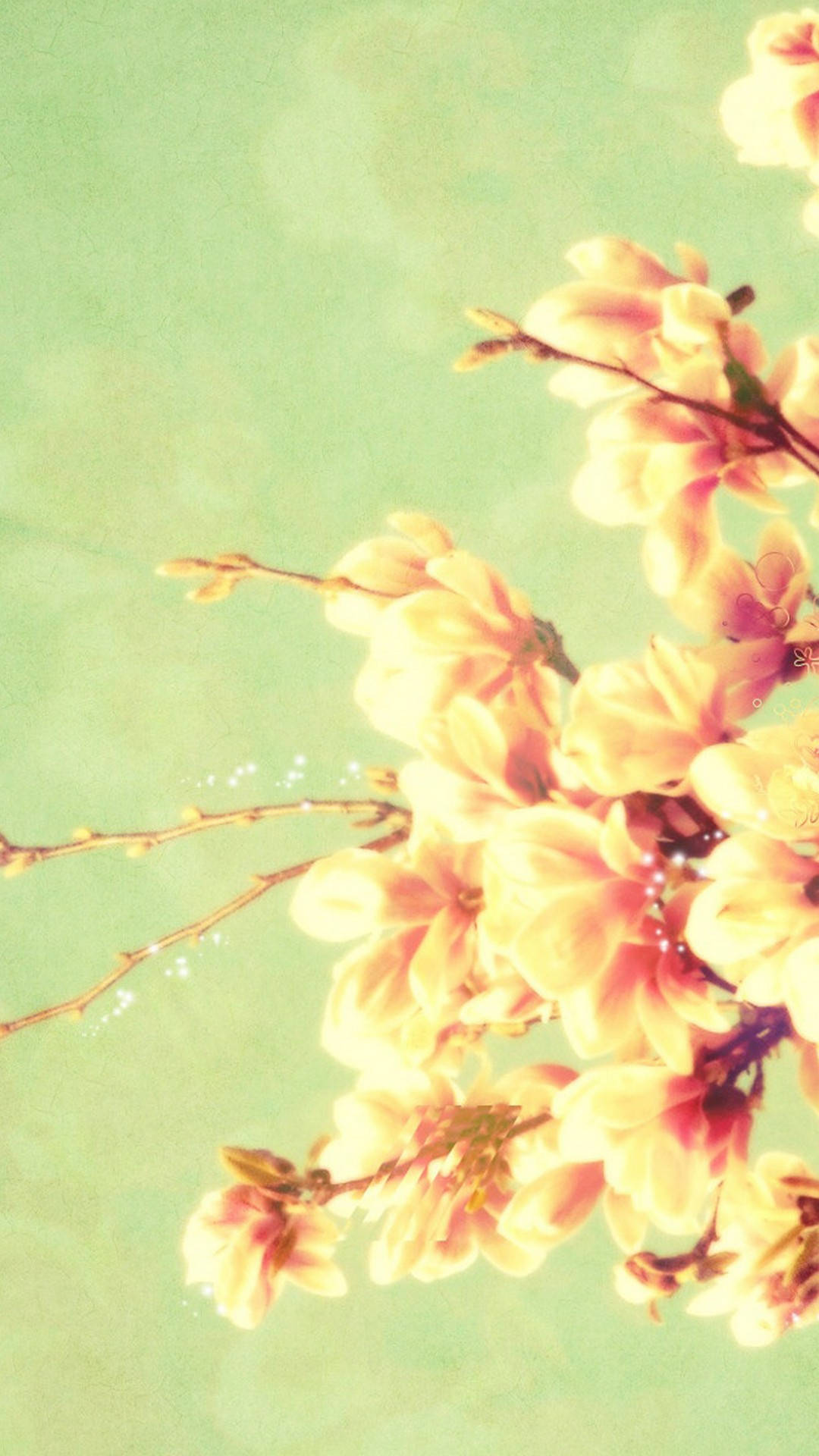 pastel magnolia blossoms, slender branches, dreamy mint green background, Full HD Phone Wallpaper