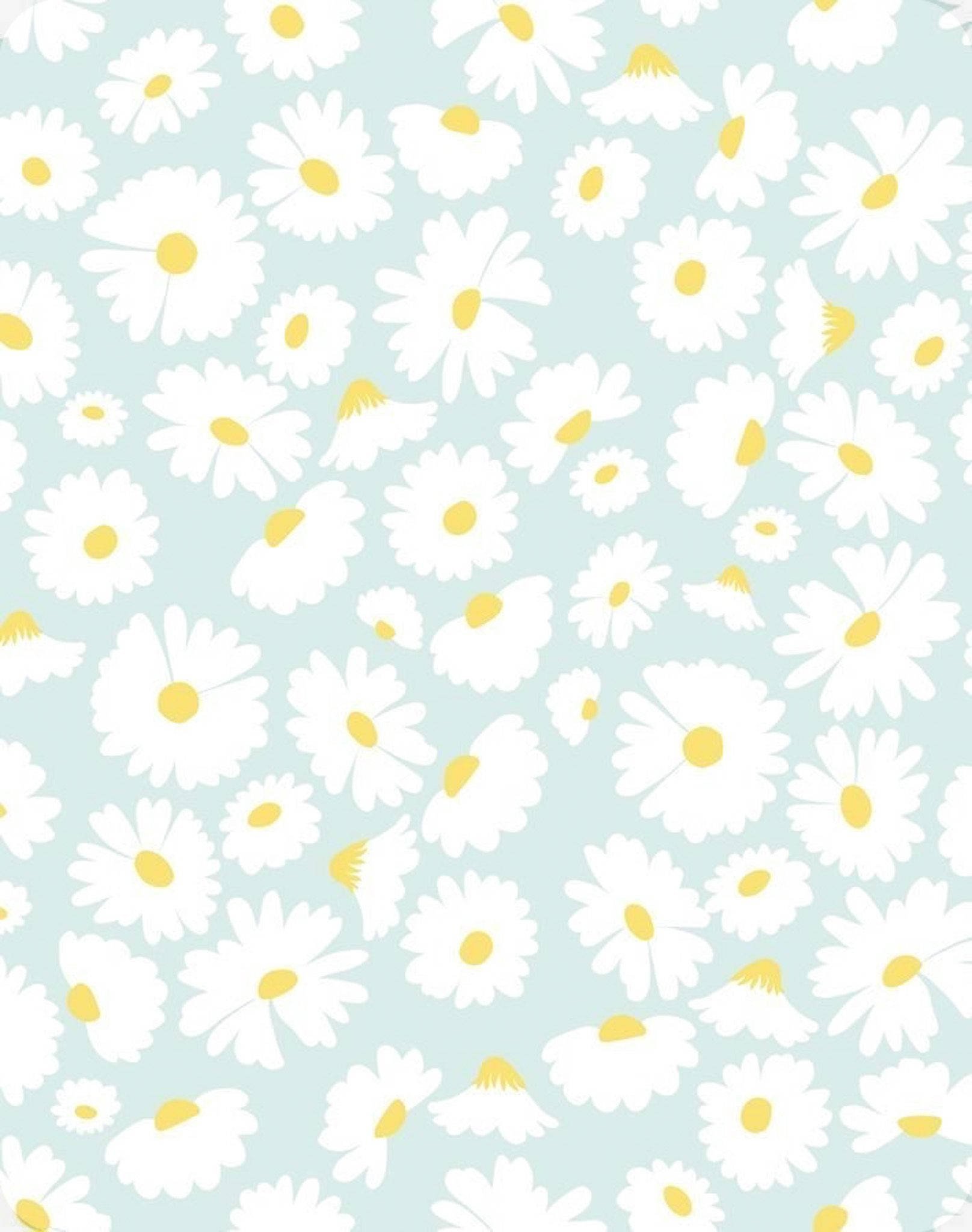cute spring, daises pattern, white daisies, Full HD Phone Wallpaper