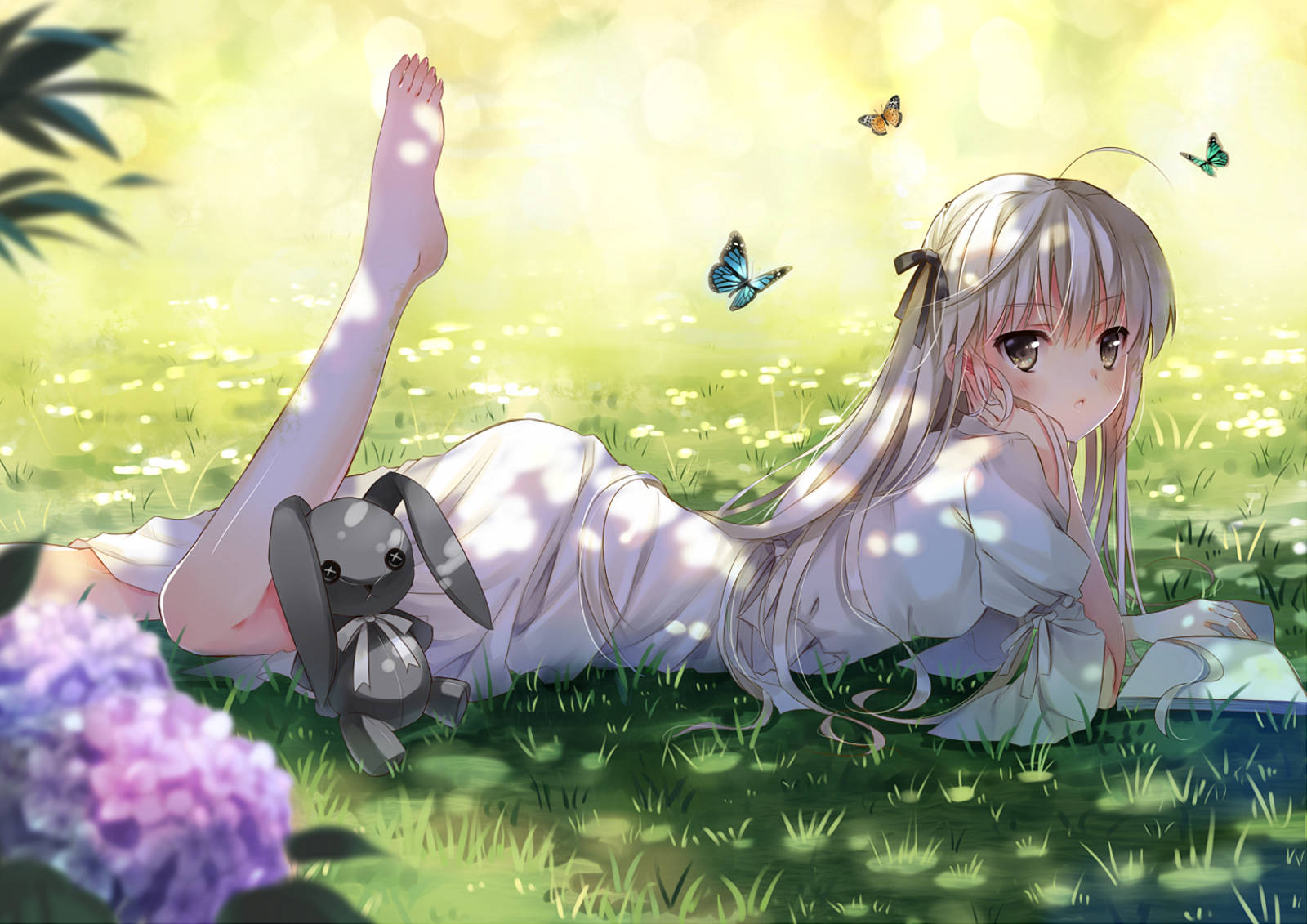 silver-haired anime girl, white, sunlit grass, HD Desktop Wallpaper