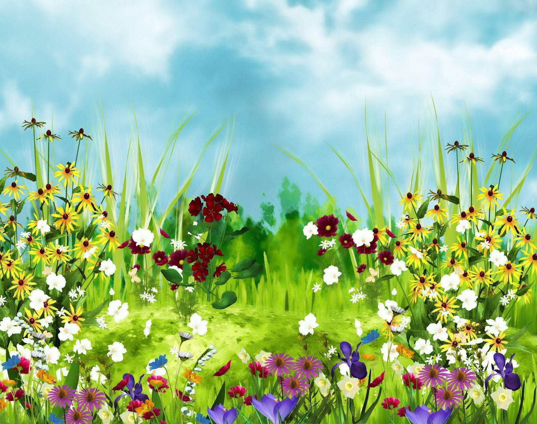 yellow black-eyed susans, white daisies, red and purple flowers, HD Desktop Wallpaper