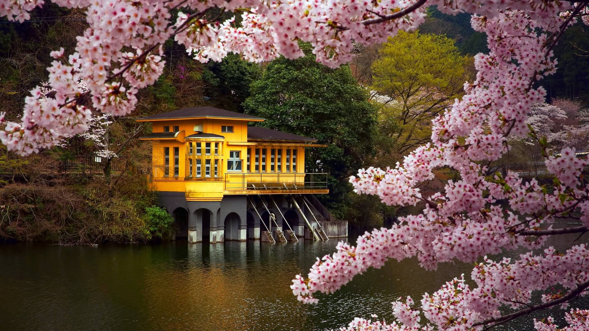 cute spring lake house, vibrant yellow house, water, Full HD Desktop Wallpaper