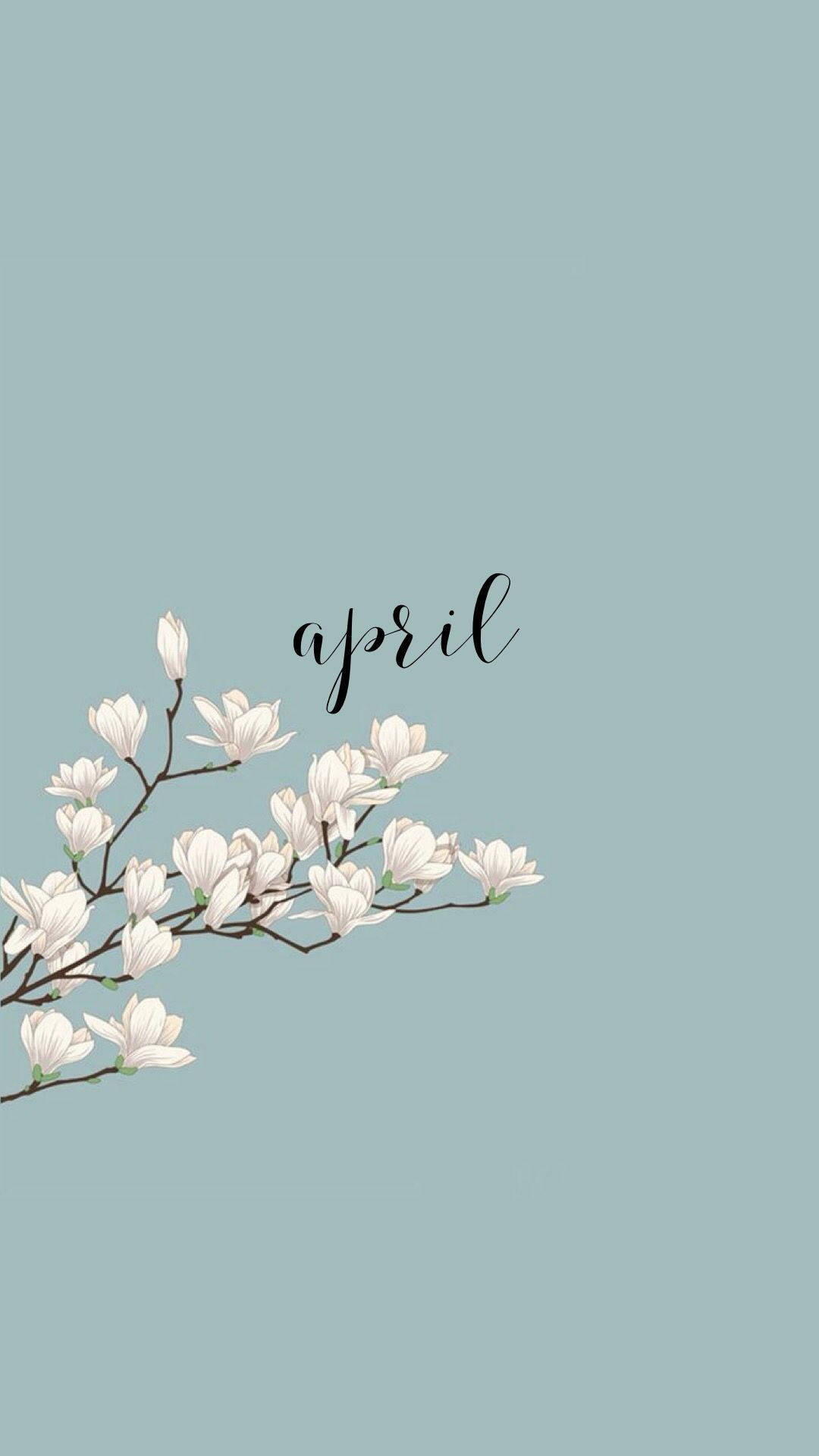 white magnolia blooms, soft mint green background, elegant black script, Full HD Phone Wallpaper