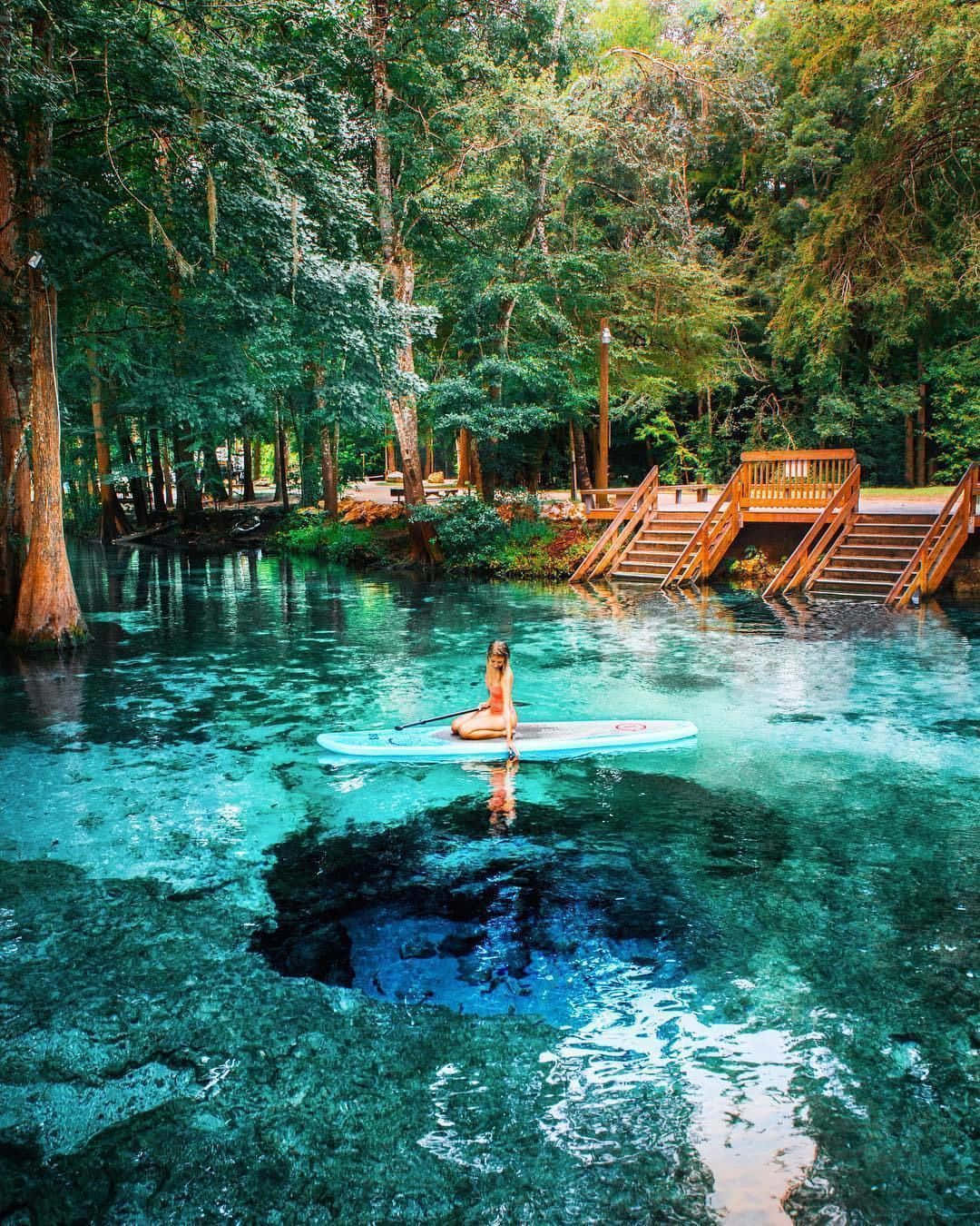 paddleboard, crystal clear turquoise water, dense green forest, HD Phone Wallpaper