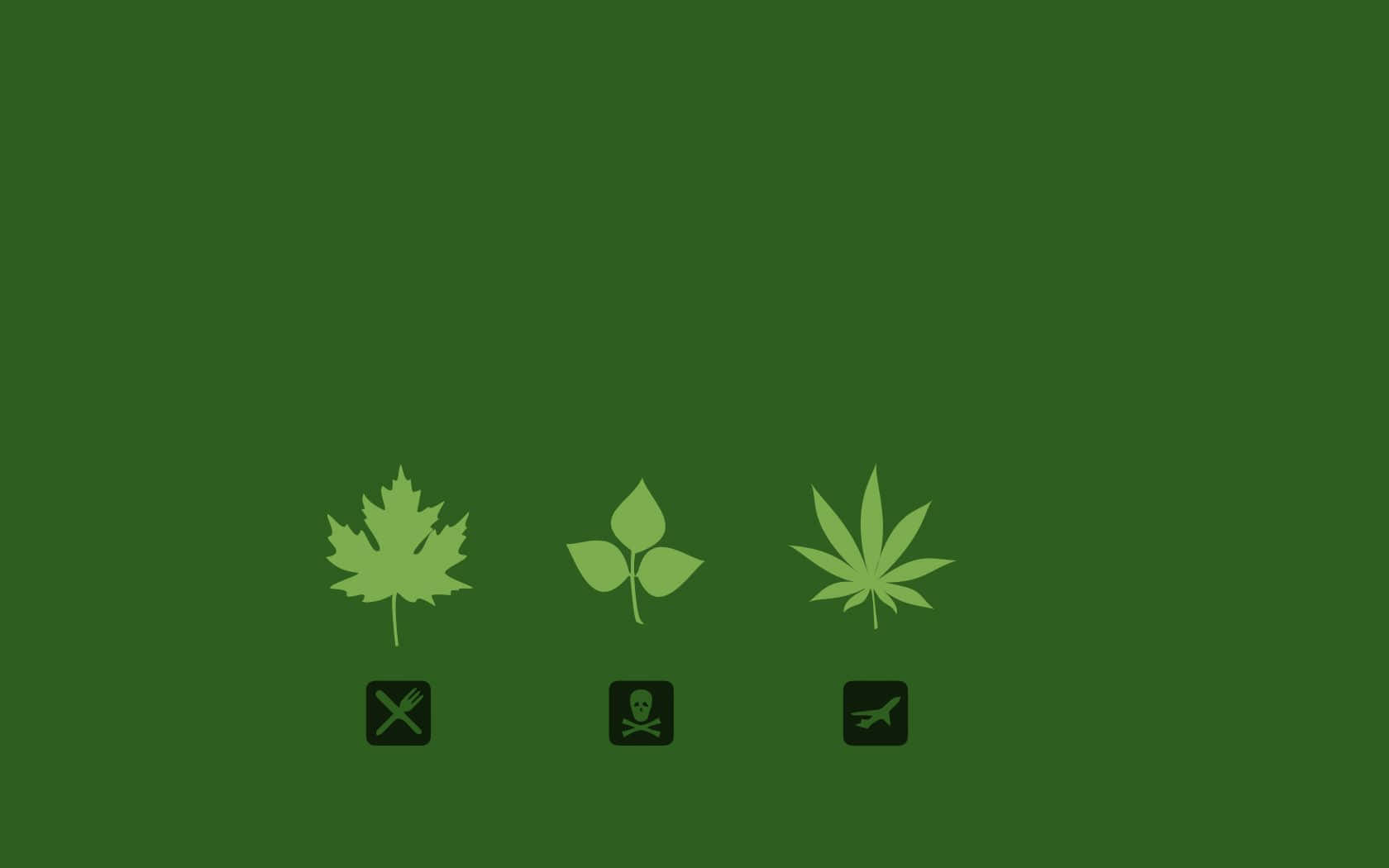 Cute Stoner, iPhone Theme, light green leaf icons, HD Desktop Wallpaper