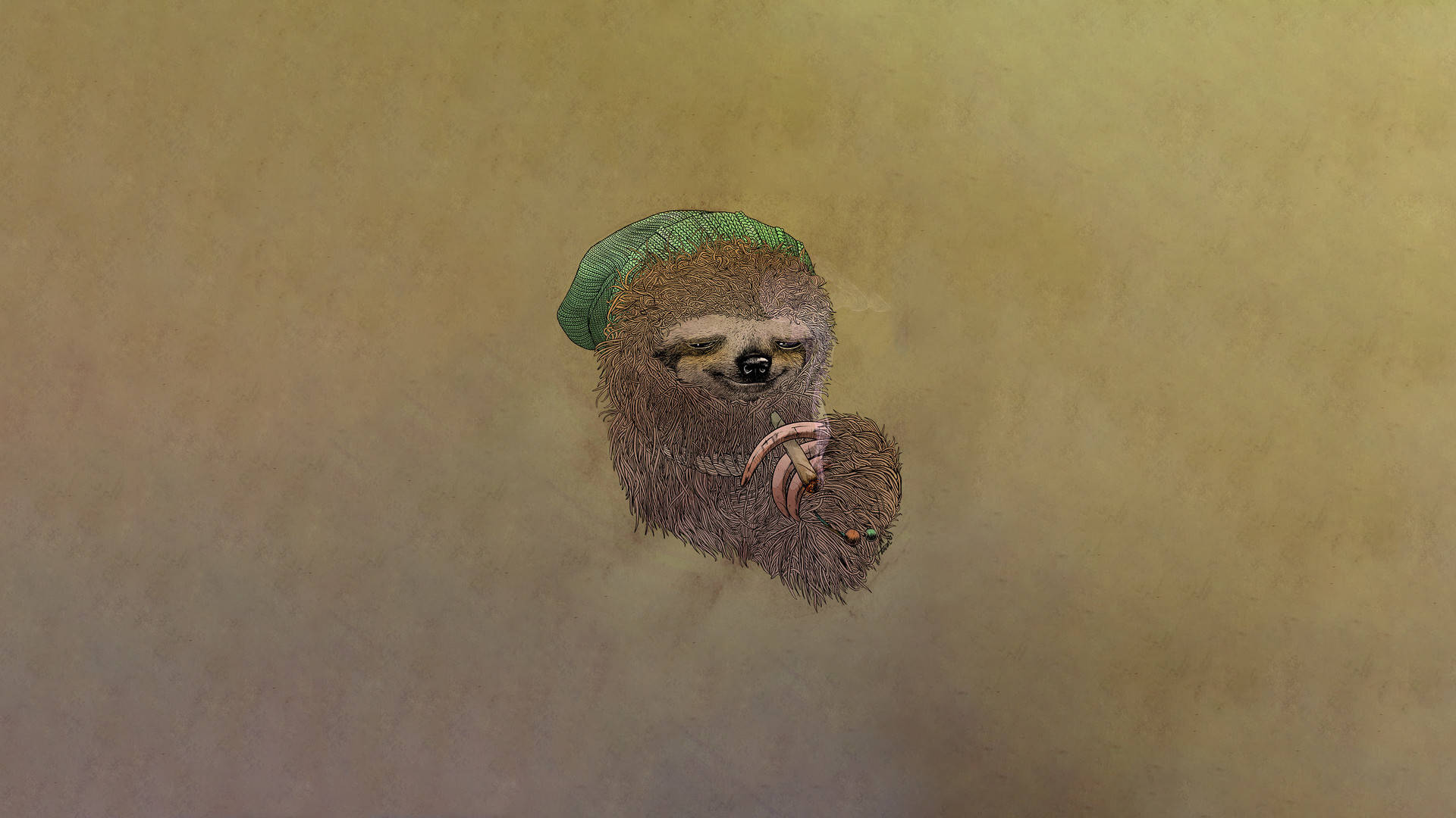 stoner sloth art, green beanie, sleepy sloth, Full HD Desktop Wallpaper