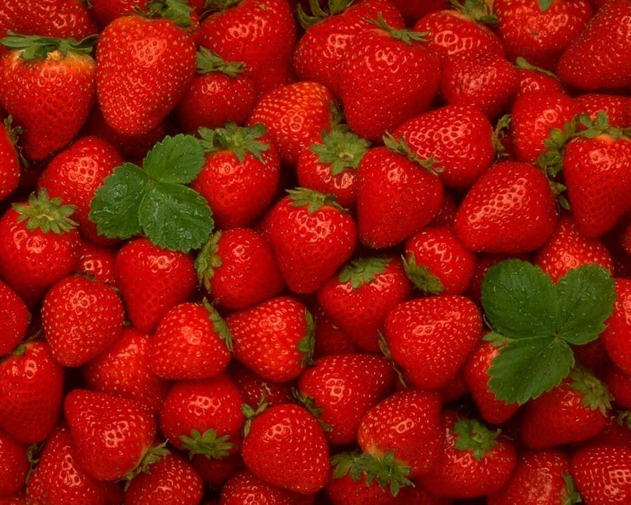 cute strawberry, plump red strawberries, green leaves, HD Desktop Wallpaper