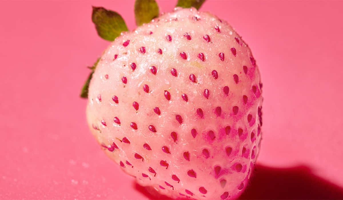 pink strawberry, pale pink strawberry, red seeds, SD Desktop Wallpaper