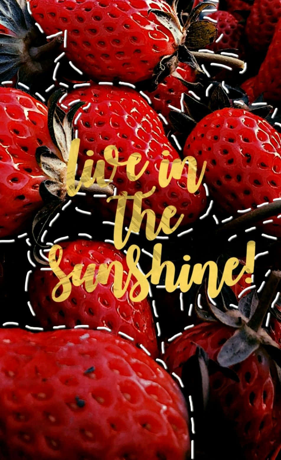 red strawberry, golden cursive text, live in the sunshine, HD Phone Wallpaper