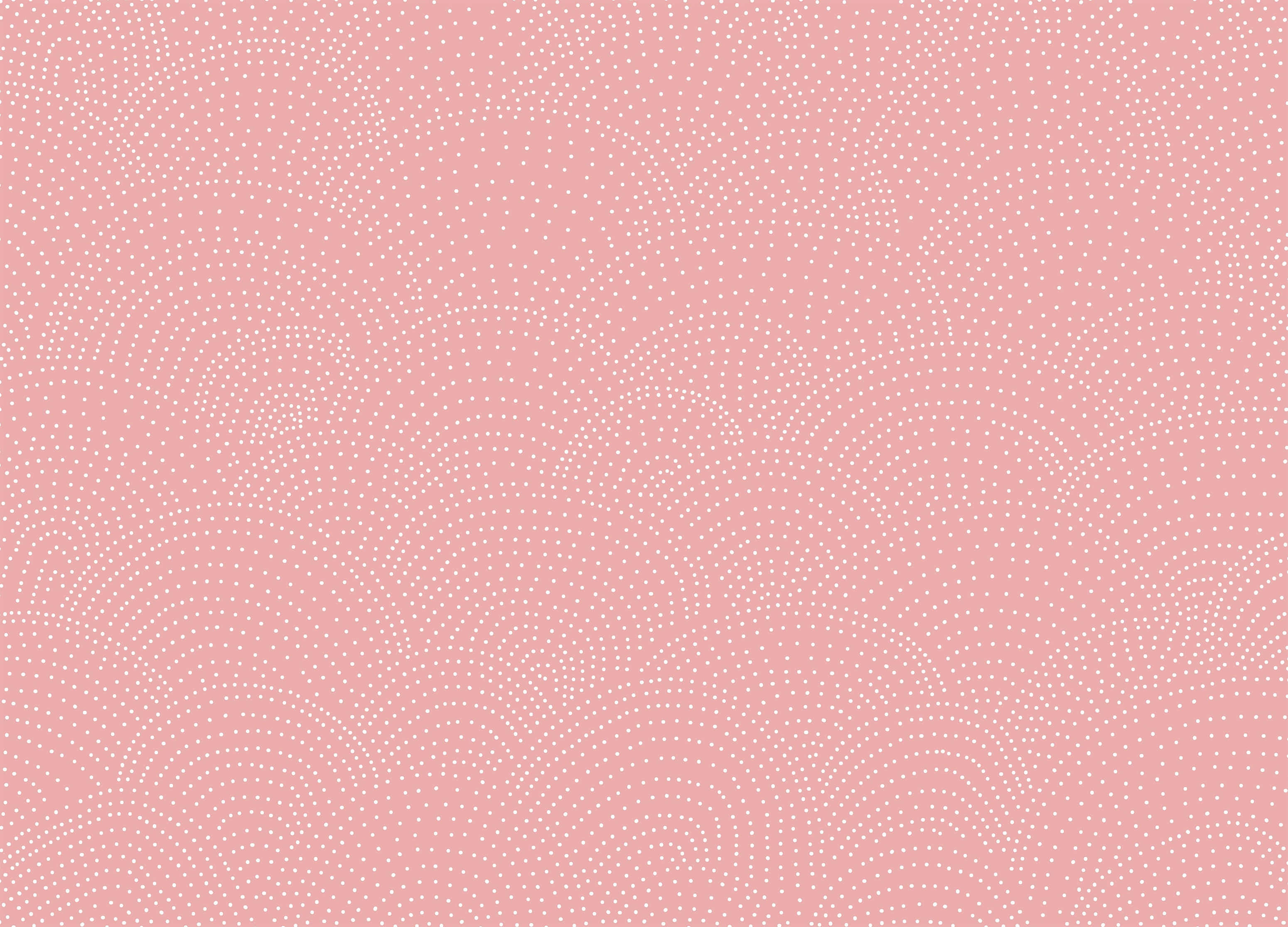 pink, white, polka dot, 2K Desktop Wallpaper