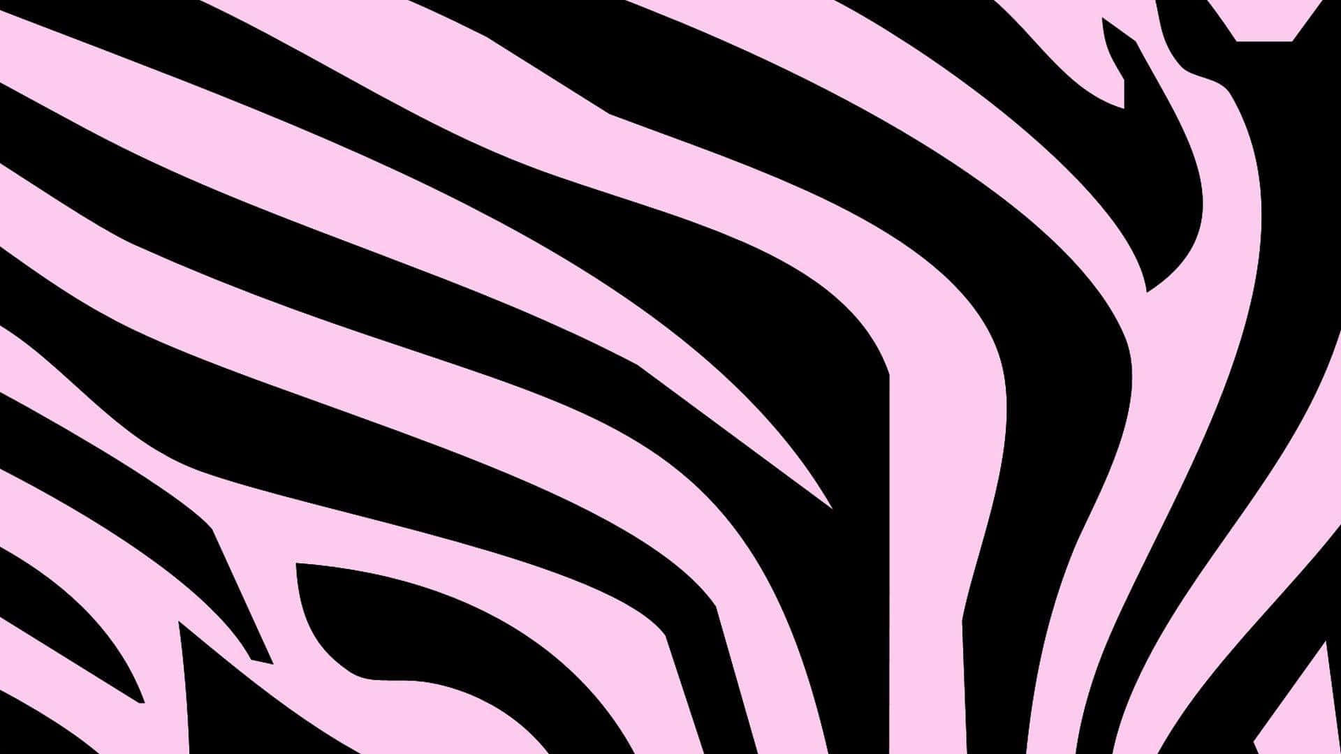 pink zebra, pink and white stripes, zebra stripe pattern, Full HD Desktop Wallpaper