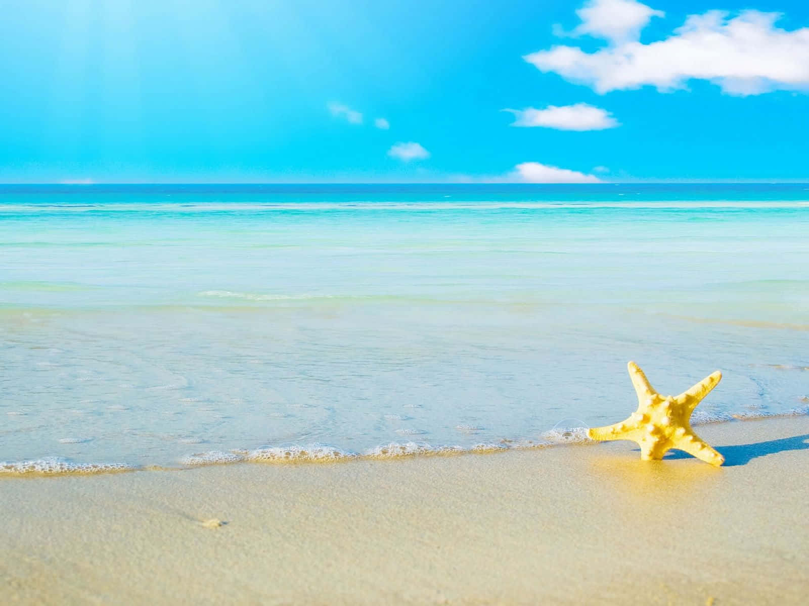 bright yellow starfish, sunlit sand, gentle turquoise waves, HD Desktop Wallpaper