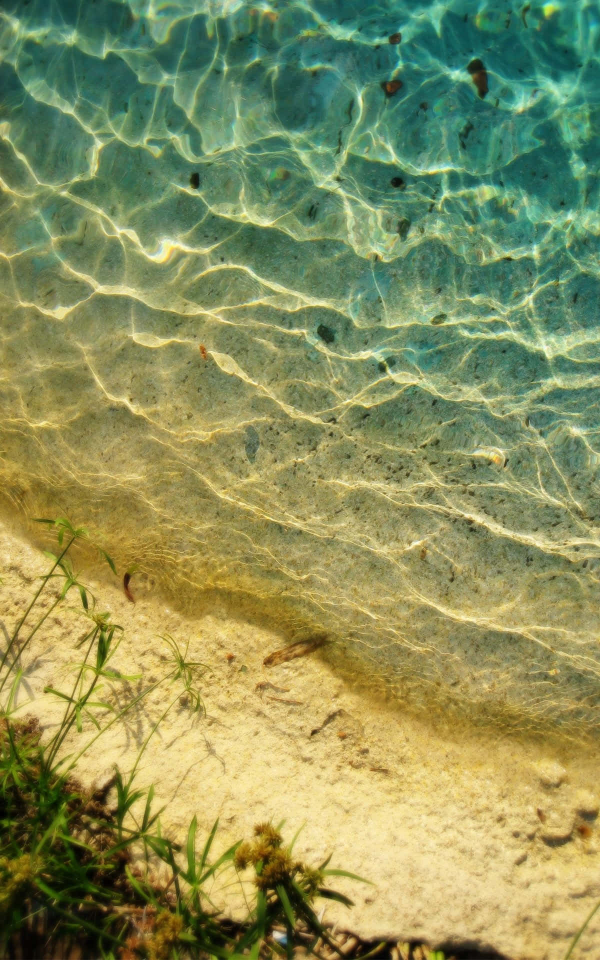cute summer beach, turquoise water, sandy bottom, Full HD Phone Wallpaper