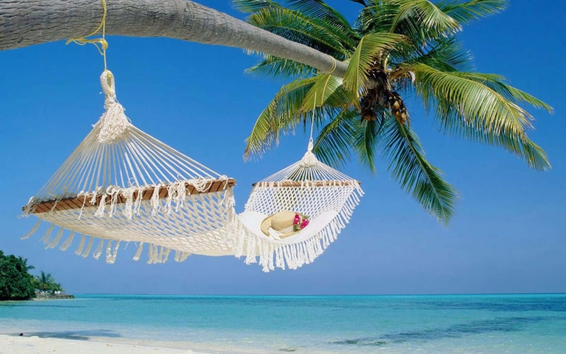 white macrame hammocks, palm tree, turquoise waters, Full HD Desktop Wallpaper