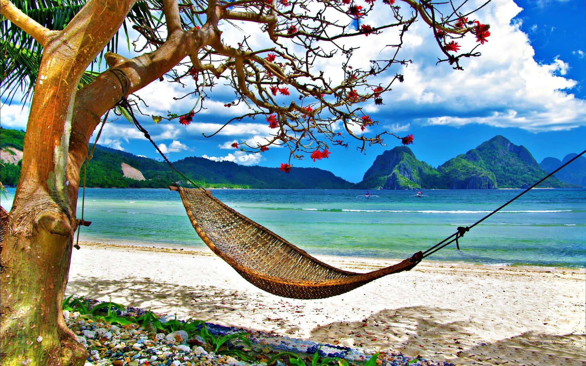 woven hammock, flowering tree, sunlit tropical beach, Full HD Desktop Wallpaper