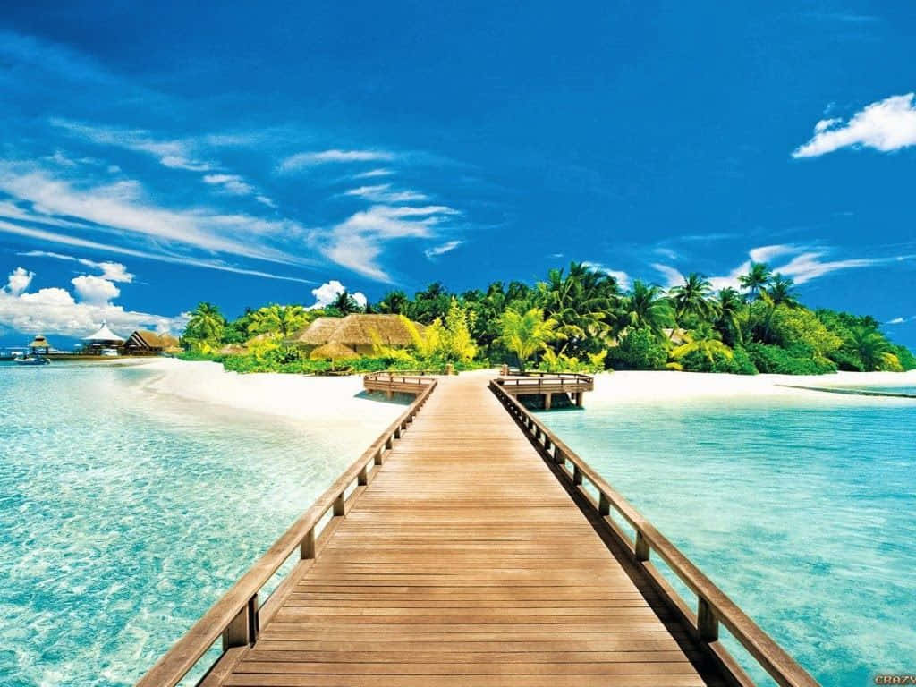 wooden pier, turquoise waters, lush tropical island, SD Desktop Wallpaper