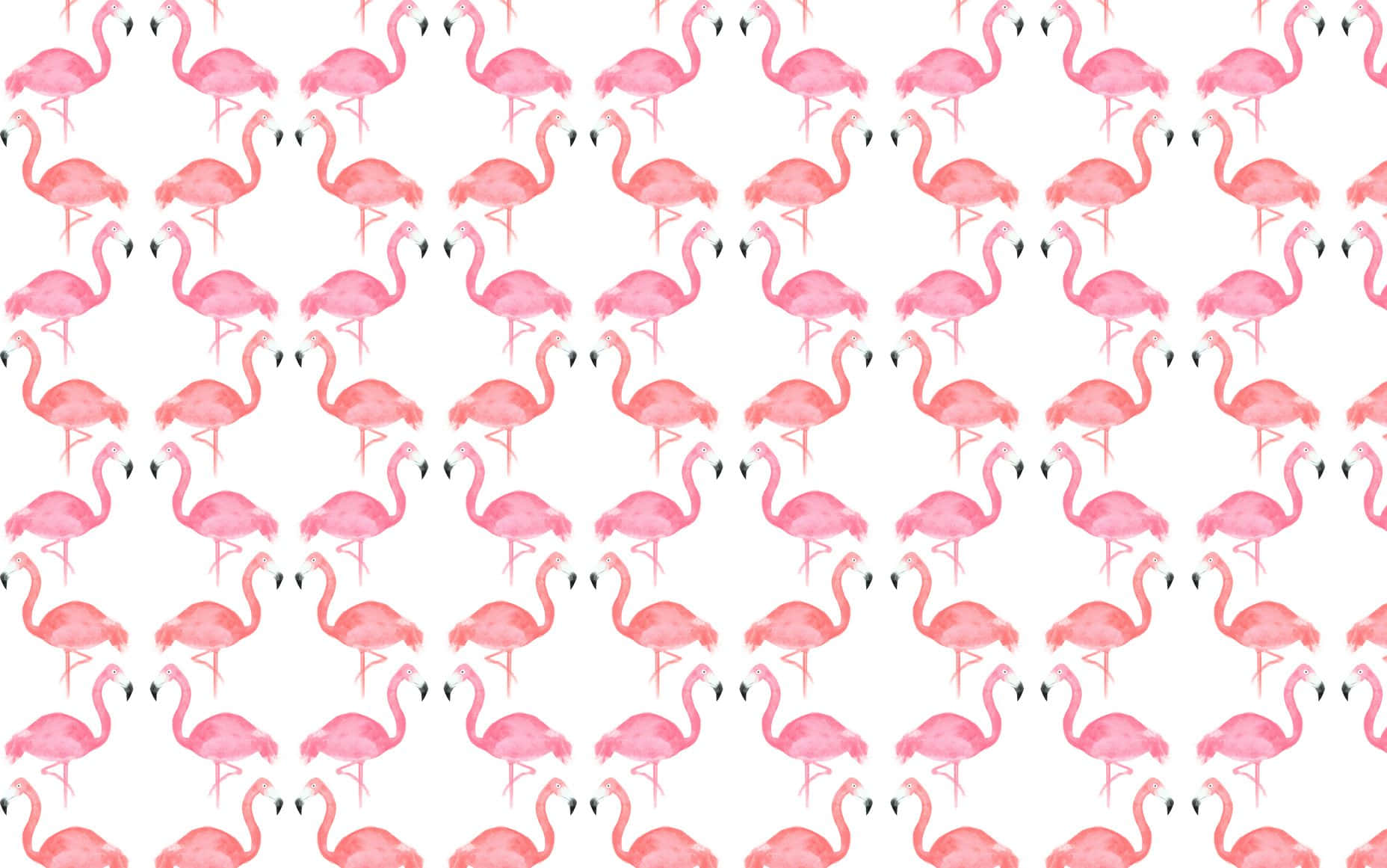 Cute Summer Desktop, pink flamingos, watercolor, HD Desktop Wallpaper