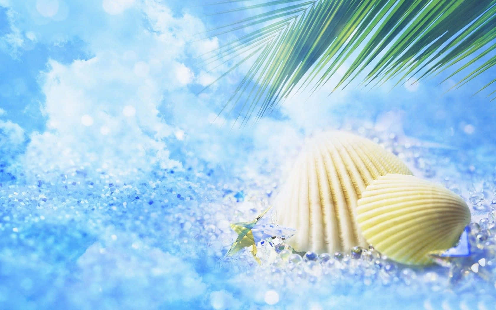 Cute Summer Desktop, white seashells, sparkling blue sand, HD Desktop Wallpaper