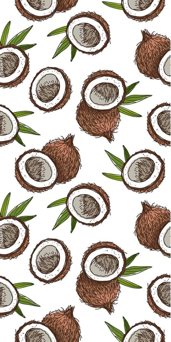 Cute Coconut Summer Phone, halved coconuts, green leaves, HD Phone Wallpaper