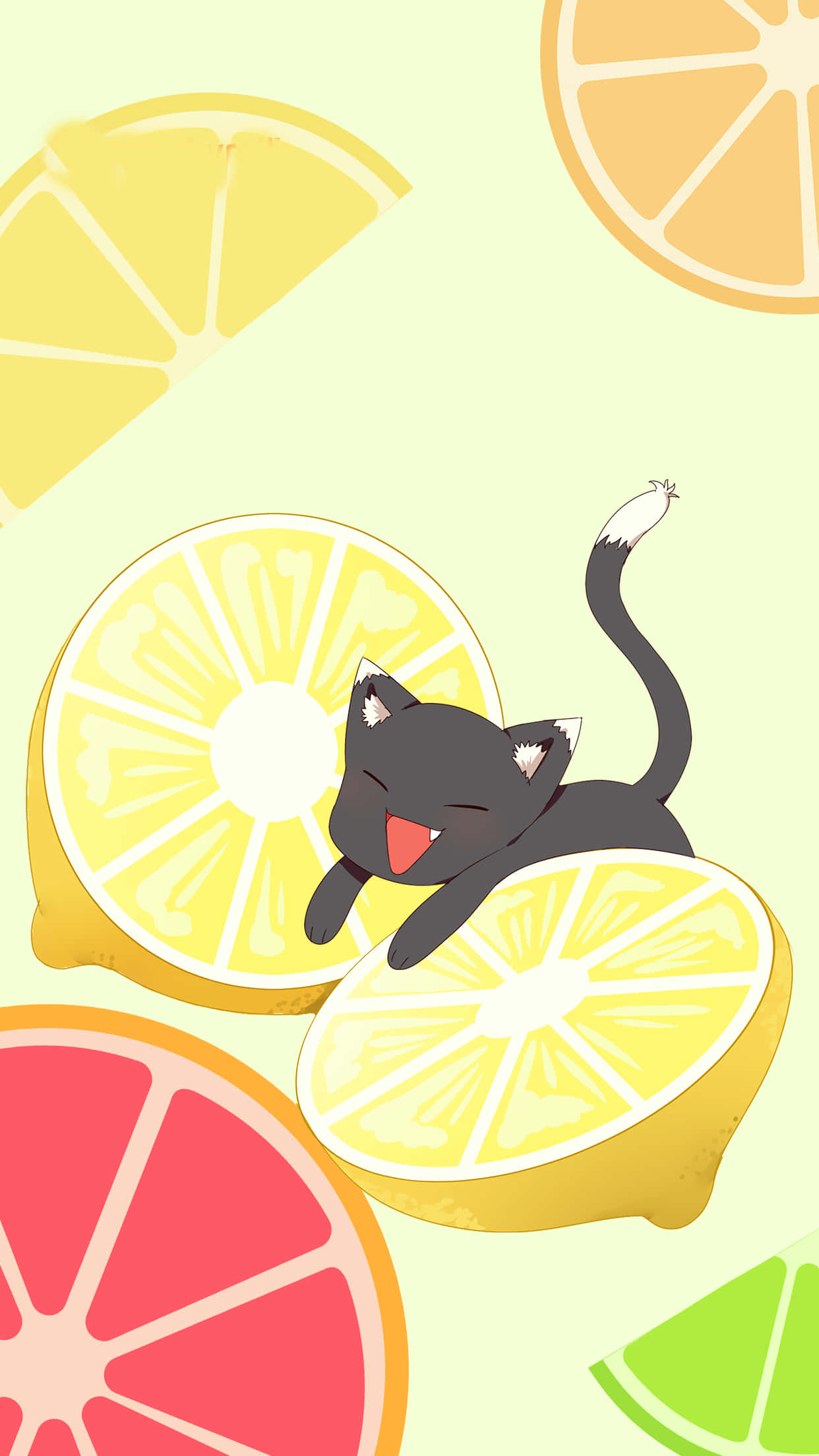 cute black cat, white-tipped tail, sliced lemon, Full HD Phone Wallpaper