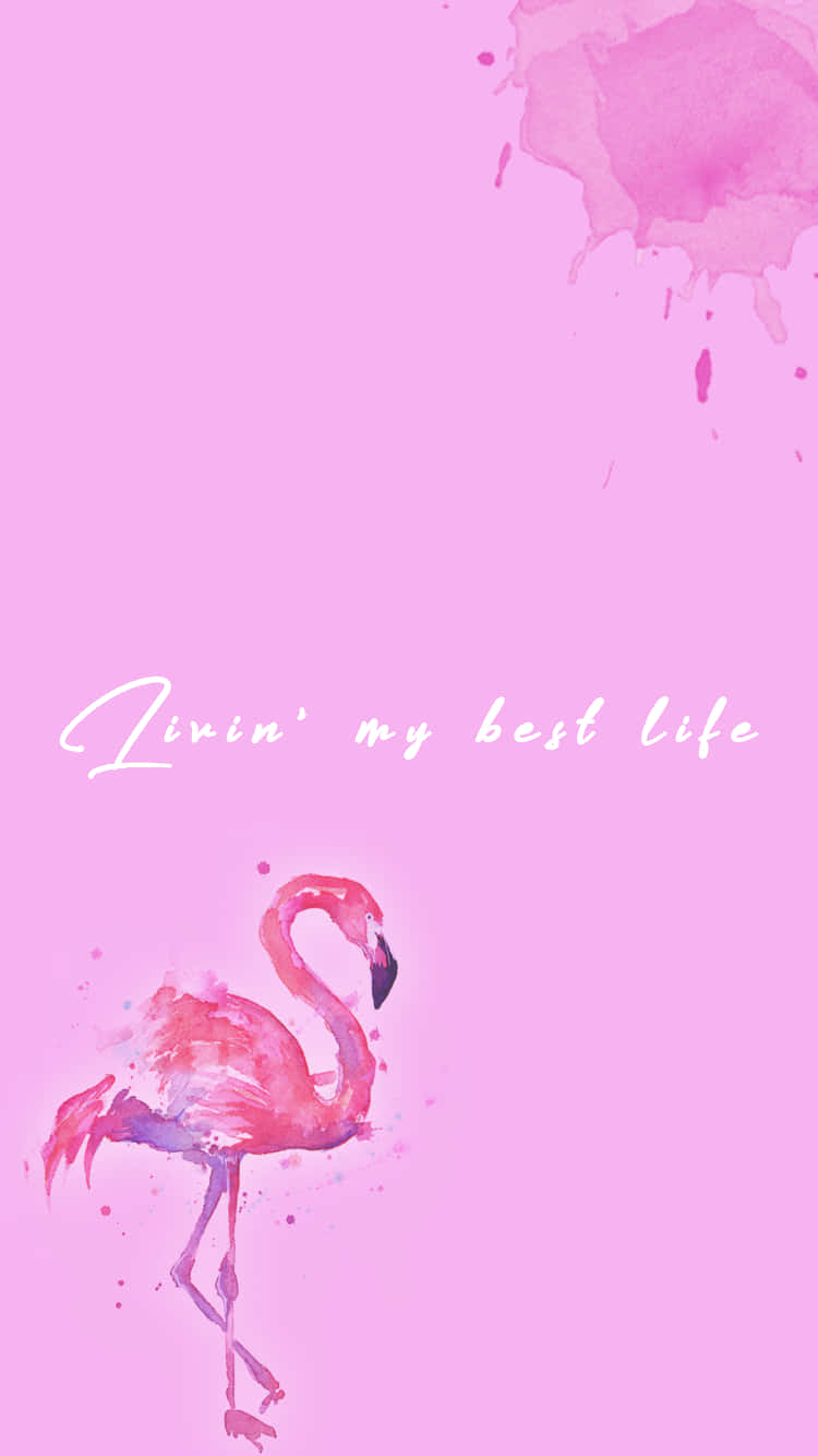 flamingo, watercolor, soft pink background, HD Phone Wallpaper