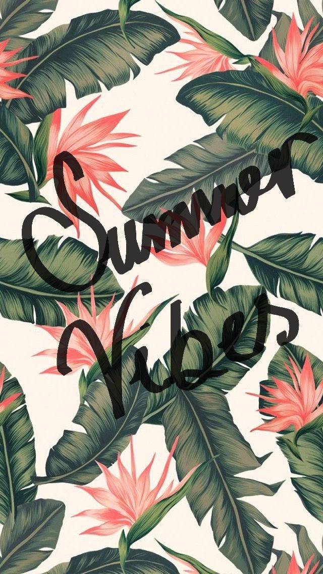 Summer Vibes, tropical leaves, pink flowers, SD Phone Wallpaper