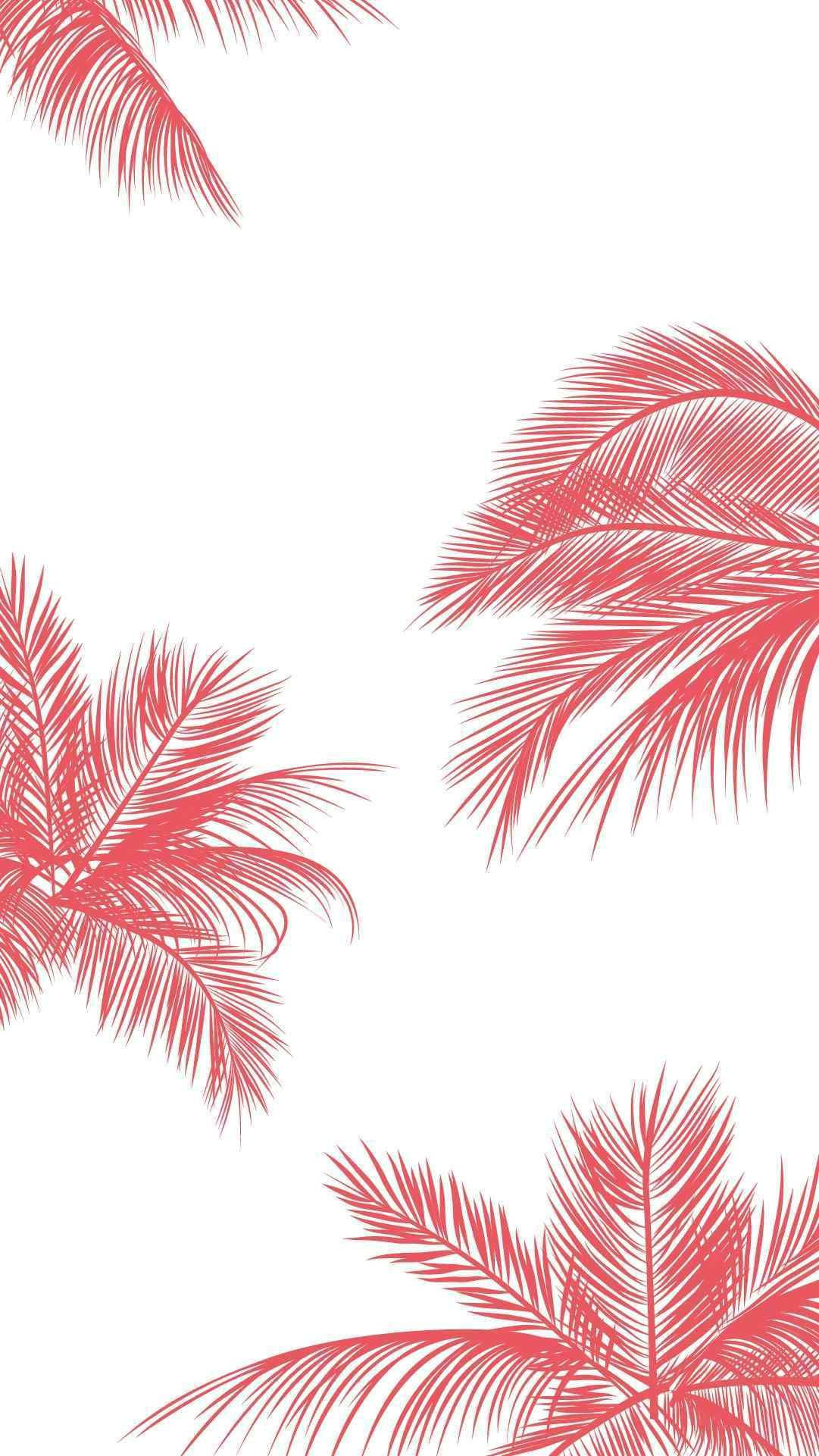 cute summer, pink palm trees, vibrant coral palm fronds, Full HD Phone Wallpaper